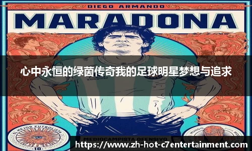 心中永恒的绿茵传奇我的足球明星梦想与追求